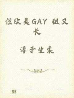 性欧美GAY 粗又长